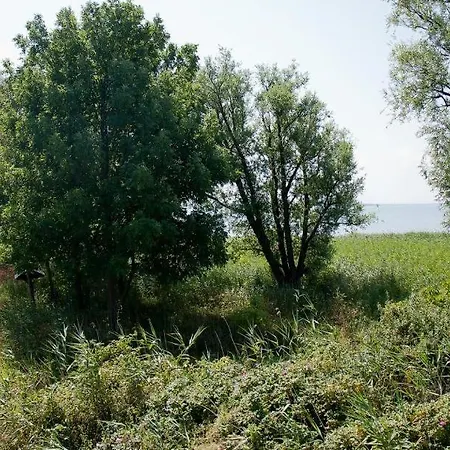 Lägenhet Alte Raeucherei 02 Wustrow (Fischland)