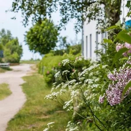 Alte Raeucherei 02 Lägenhet