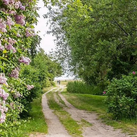 Lägenhet Alte Raeucherei 02 *