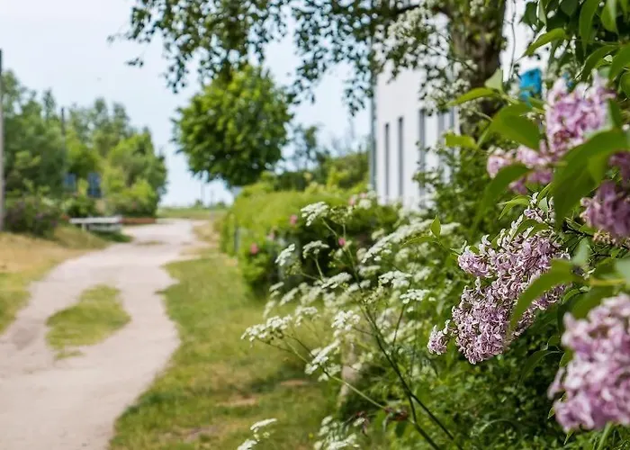 Alte Raeucherei 02 Lejlighed