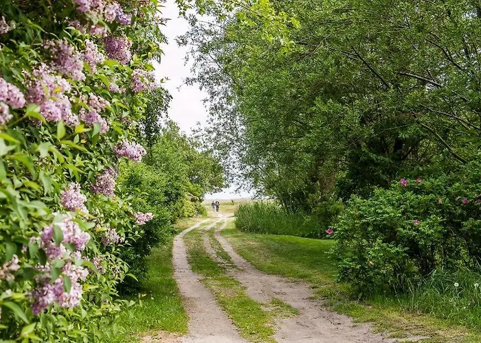 Lejlighed Alte Raeucherei 02 *